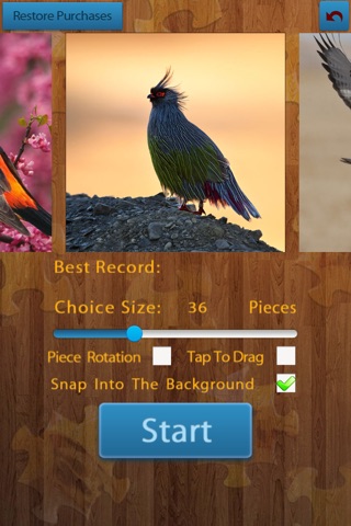 Birds Jigsaw Puzzles - Titan screenshot 2