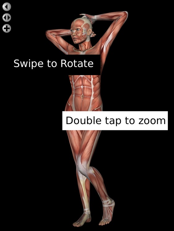 360 Anatomy for Artists HD: Female Figure