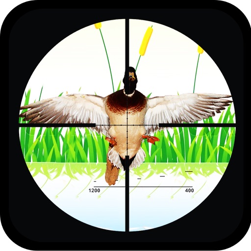 Wild Crazy Duck 3D : Real Forest Bird Hunting iOS App