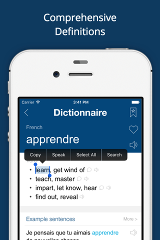 French English Dictionary Pro screenshot 2