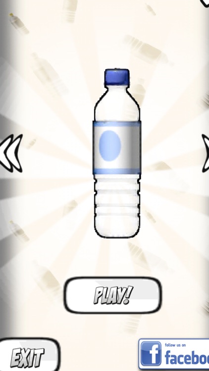 Mini Water Bottle Flip