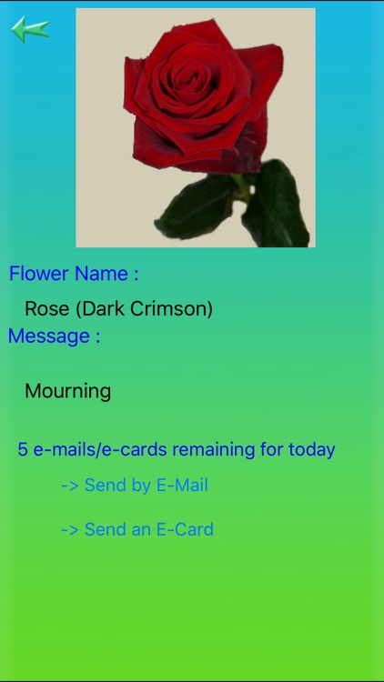 Flowers Language