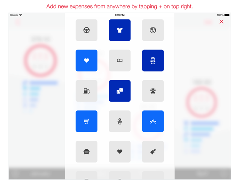 Next for iPad - Track your expenses and finances Finance