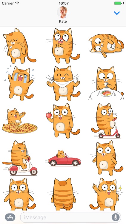 Cartoon Cats - Stickers for iMessage