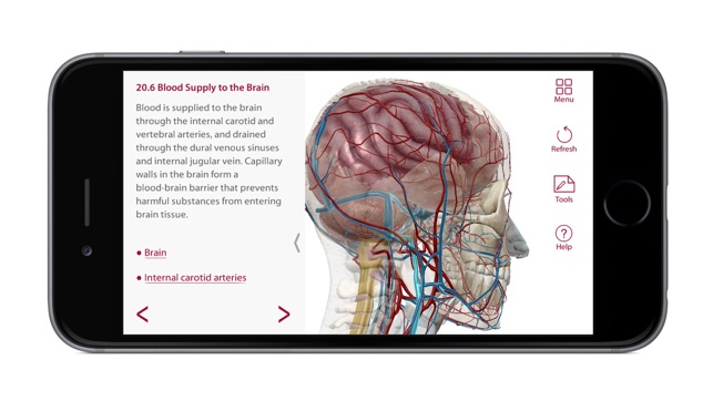 For Organizations - 2017 Anatomy & Physiology(圖2)-速報App