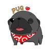 Black Pug Stickers