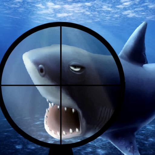 Angry Shark : This action packed aquatic way iOS App