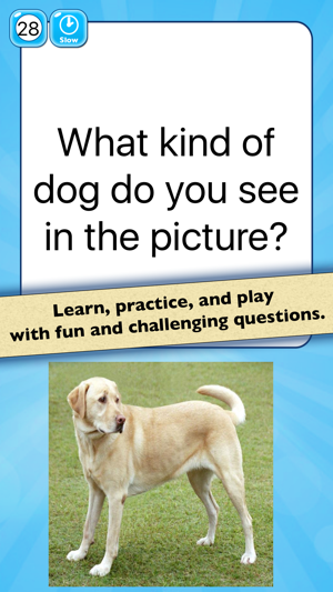 Dog Breeds Quiz with Puppies