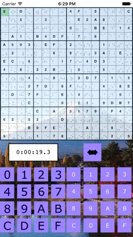 Game screenshot The Big Sudoku apk