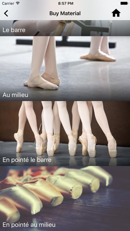 Ballet Teacher Companion