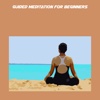 Guided meditation for beginners