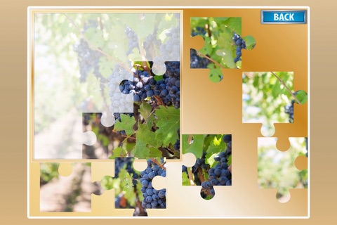 A Set Of Beautiful Jigsaw Puzzle Games screenshot 2