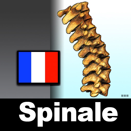 Spinal Cord Encyclopédie