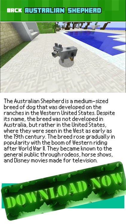 DOG MOD CRAFT - Dogs Mods for Minecraft Game PC screenshot-3