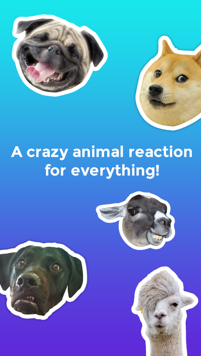 How to cancel & delete Crazy Animals! Funny animal reaction meme stickers from iphone & ipad 1