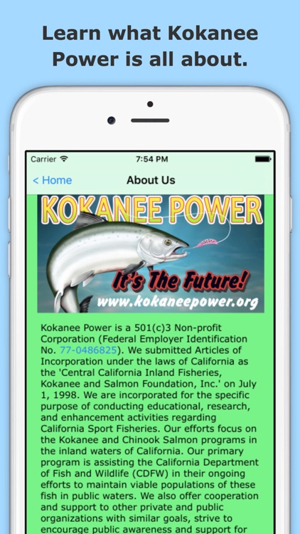 Kokanee Power