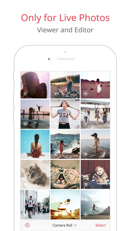 LivePix – Convert Live Photos to gif & video screenshot-0