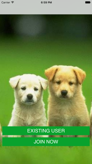 Dog Walker - Fitness Run(圖1)-速報App