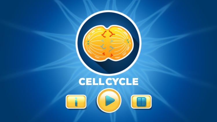 CellCycle