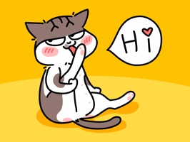 Papy Cat: A perfect confident cat