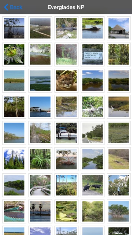 Everglades National Park - USA screenshot-4