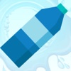 Water 2K Bottle Flip 2017 Pro