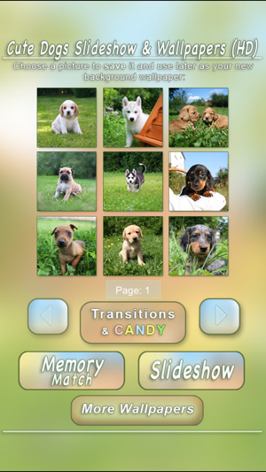 Cute Dogs Slideshow & Wallpapers (HD)(圖4)-速報App