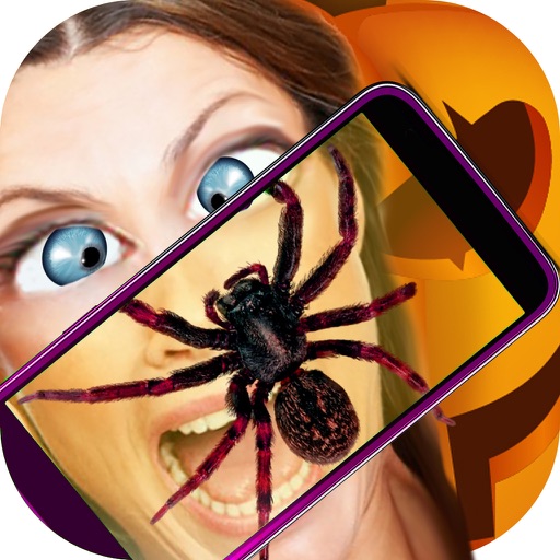 Spider Real Camera 3D Prank Icon