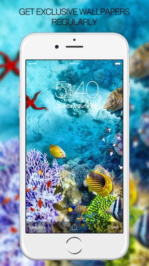 Fish Pictures – Fish Wallpapers & Backgrounds(圖3)-速報App