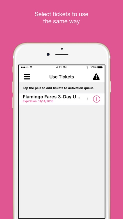 Flamingo Fares Tampa Bay