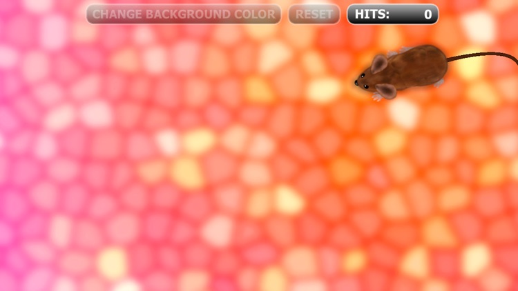 Catch the Mouse Cat Game for iPhone screenshot-3