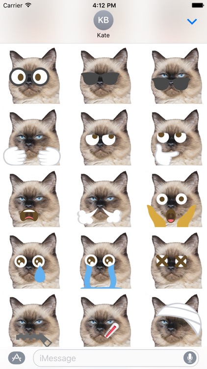 Cat Emoji Sticker Pack