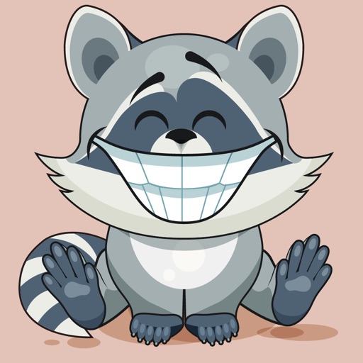 Stkyz: Raccoon