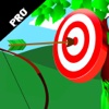 Arrow Mania Champion PRO : Give Your Target