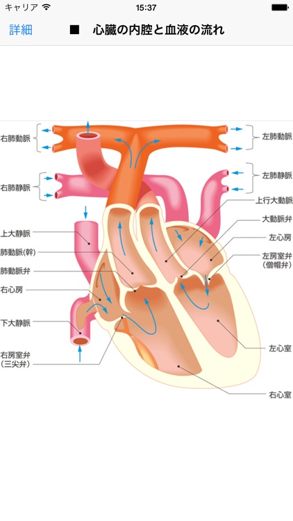 法研 六訂版 家庭医学大全科