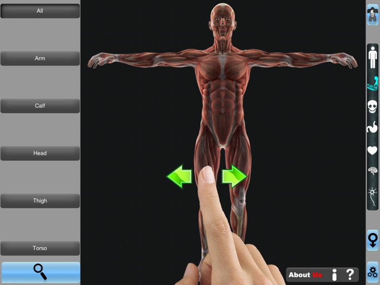 Anatomy 3D for iPad screenshot-0
