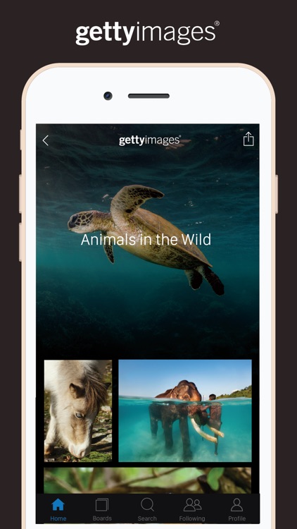 Getty Images