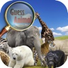 Hidden Object Guess The Animal