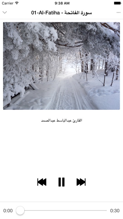 Abdelbaset Abdessamad-Quran mp3-عبدالباسط عبدالصمد screenshot-4