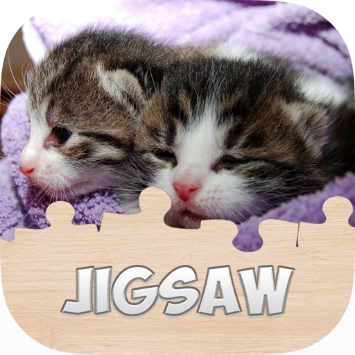 Pussycat Jigsaw Puzzle Free Kitty Games For Kids