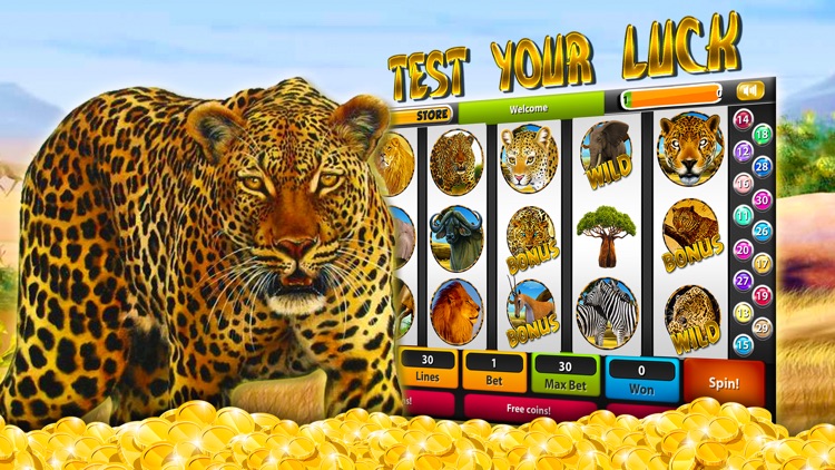 Leopard Slot Machines – Big Win Casino