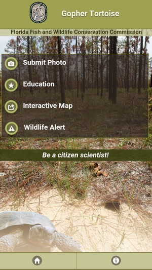 Florida Gopher Tortoise(圖2)-速報App