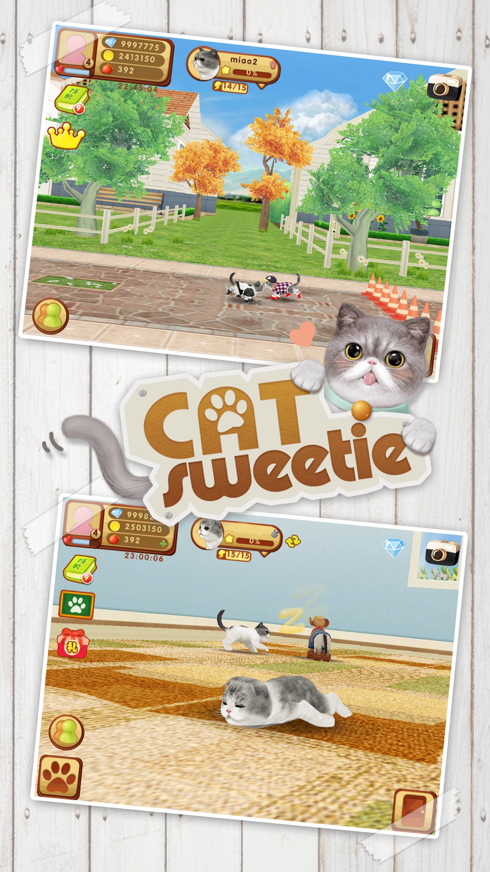Cat Sweetie Cheat Codes