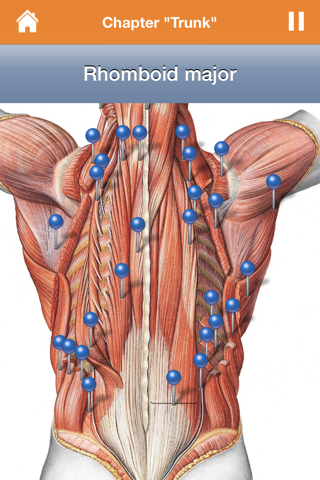 Sobotta Anatomy Atlas screenshot 2