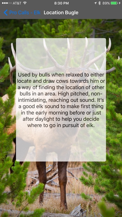 Pro Calls - Elk Calls
