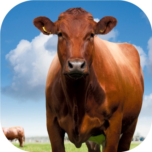 Meat Sustainability Calculator icon