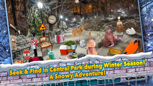 Hidden Objects New York - Central Park Winter(圖2)-速報App