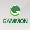 Instituto Gammon