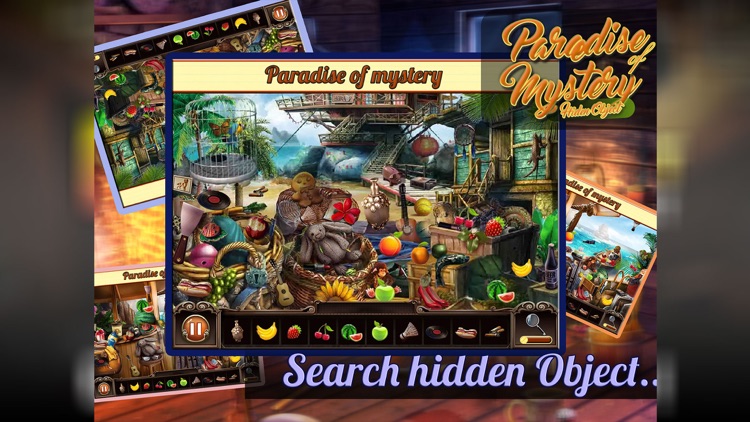 Secret Mystery Spot : Hidden Object Solve Mystery Case screenshot-3