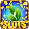 Mega Natural Slots: Be the earthly betting winner